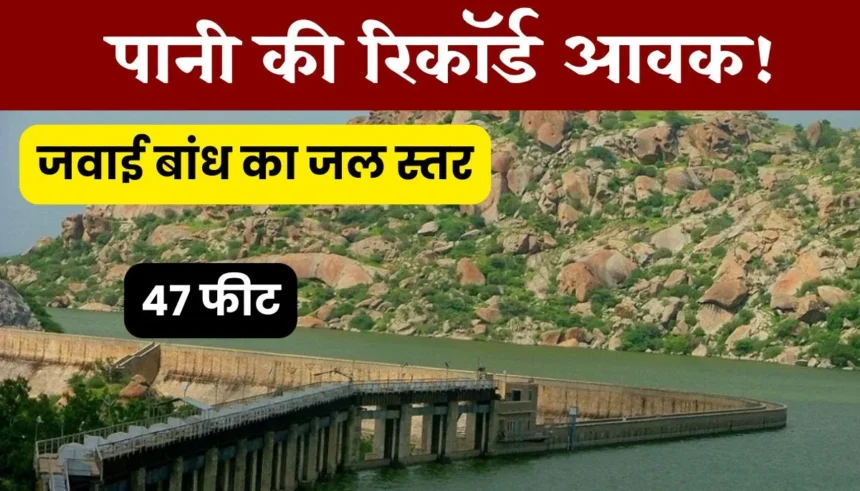 jawai bandh today latest update 2024